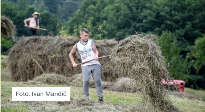 Screenshot_20250907_165655_Samsung Internet