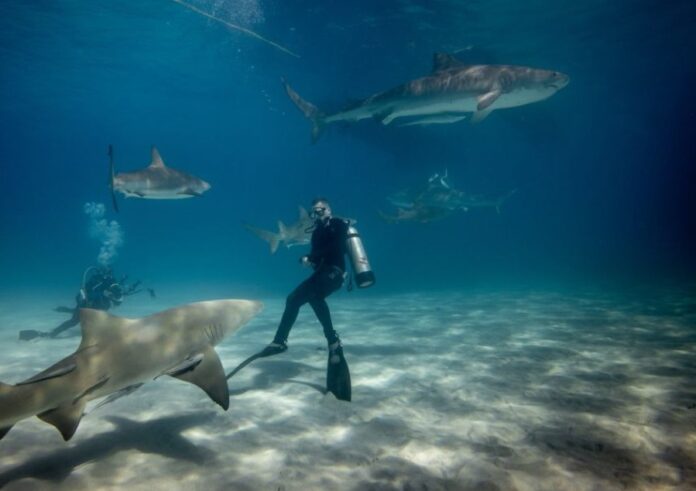 Screenshot_20250911_084151_Google