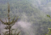 Nedjelja sunčana i topla, u ponedjeljak stižu pljuskovi i grmljavina