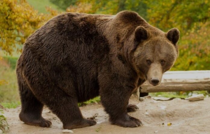 Screenshot_20250918_091950_Chrome