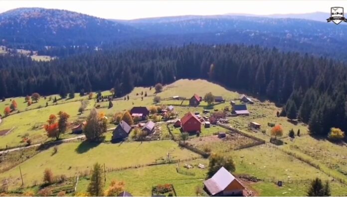 Screenshot_20250919_101357_Chrome