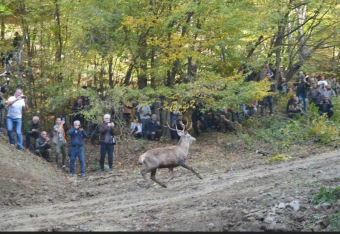 Screenshot_20250922_125349_Chrome