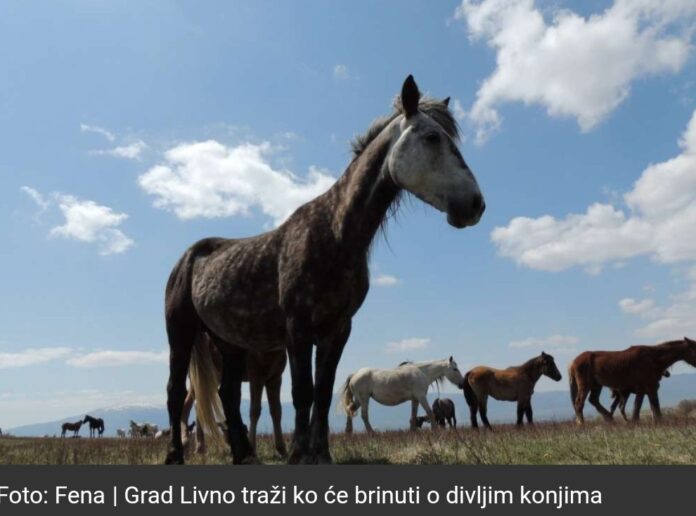 Screenshot_20251002_085445_Chrome