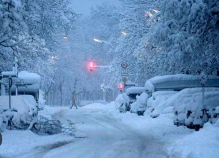 Screenshot_20251003_094802_Google