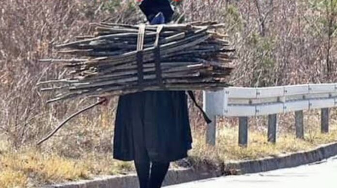 Screenshot_20251005_083146_Google