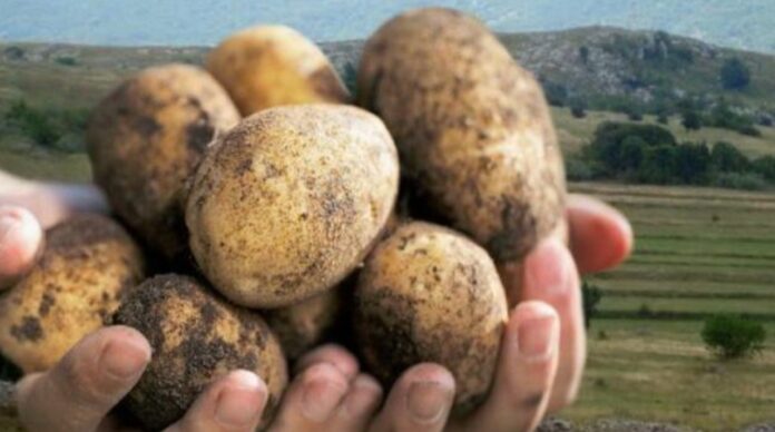 Screenshot_20251015_075628_Samsung Internet