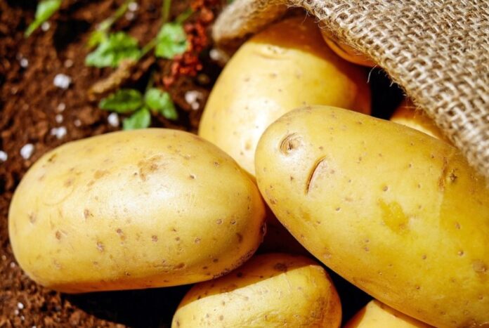 Screenshot_20251020_224256_Chrome