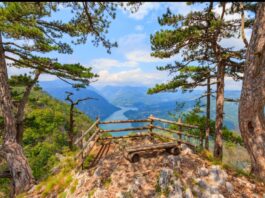 Zajednički turistički razvoj Foče i Plužina – što je priroda spojila, čovjek da ne razdvaja