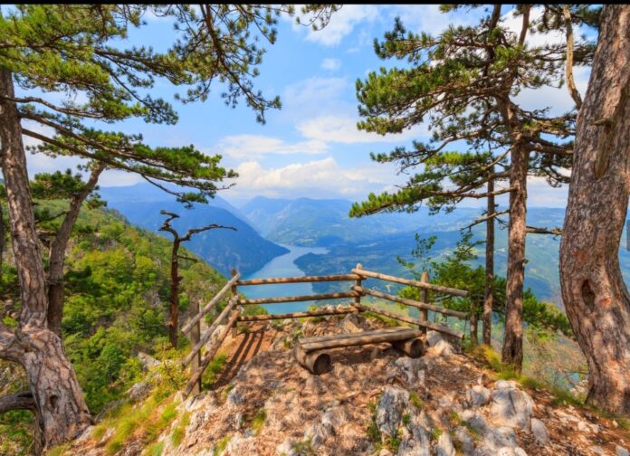 Screenshot_20251027_084039_Chrome