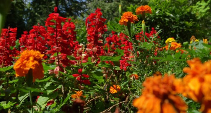 Screenshot_20251031_105323_Chrome