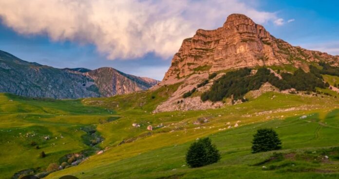 Screenshot_20251103_152425_Google