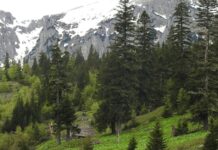 Šumsko gazdinstvo ,,Maglić” Foča