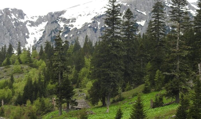 Screenshot_20260411_070533_Chrome