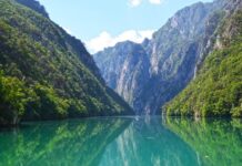 U Drinu pušteno više od 5.000 kilograma riblje mlađi