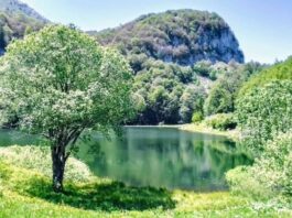 Jezero Donje Bare kod Foče